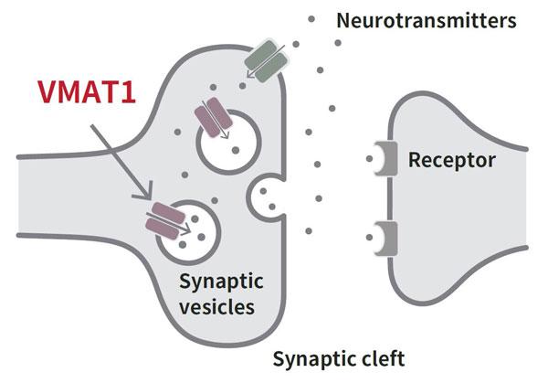 Evolution of Psychiatric Disorders and Human Personality Traits (1 of 2)