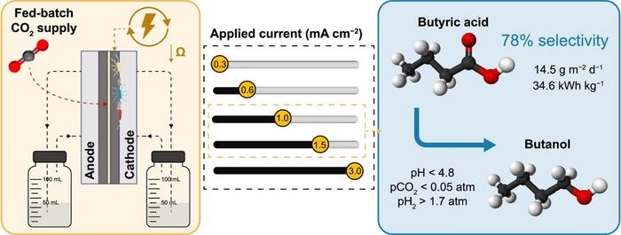 Biofuels and Biodiesel Market: A Breakthrough Innovation with New