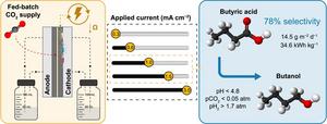 Graphical abstract.