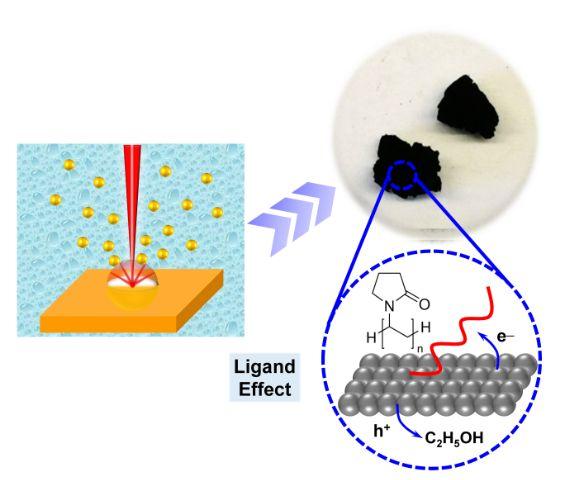 Noble Metal Aerogels