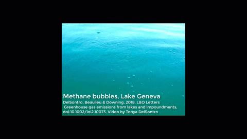 Methan-Rich Bubbles in Lake Geneva, Switzerland
