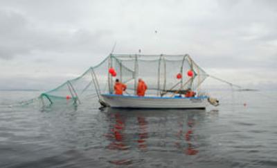 Seal-Safe Fishing Gear