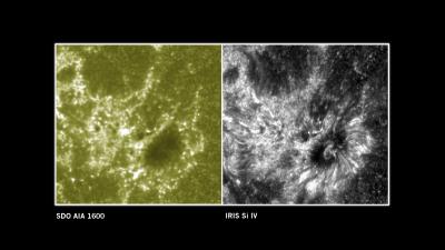 NASA's IRIS and SDO See a Section of the Sun
