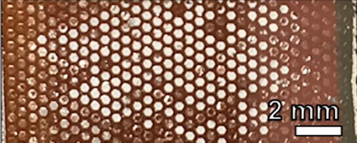 Scaffolds in a Compound Solar Cell