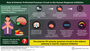 Role of Anterior Prefrontal-Putamen Circuit in the Human Response Inhibition