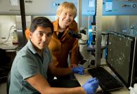 Fernando Lopez-Diaz and Beverly M. Emerson, Salk Institute