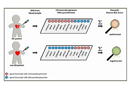 Concept Slide, University of California San Diego School of Medicine and Imperial College
