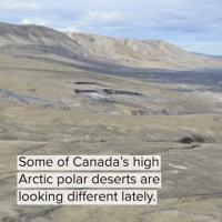 How Climate Change Is Affecting the Land in the High Arctic