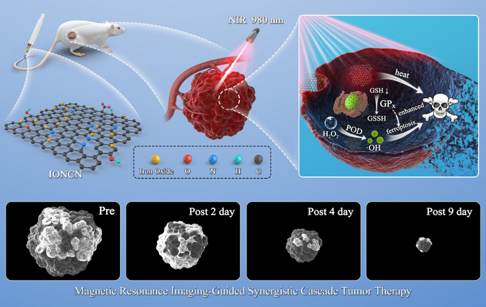 Scientists Suggest Near-Infrared-Triggered Nanozyme-Mediated Synergistic Cascade Tumor Therapy