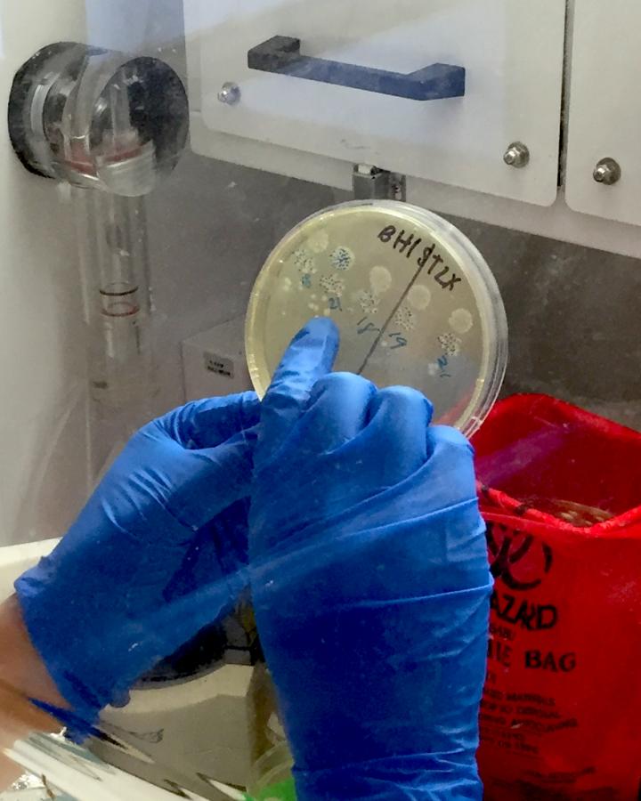 Erica L. Buonomo, Ph.D., UVA Health System