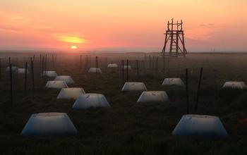 Environmental Chambers