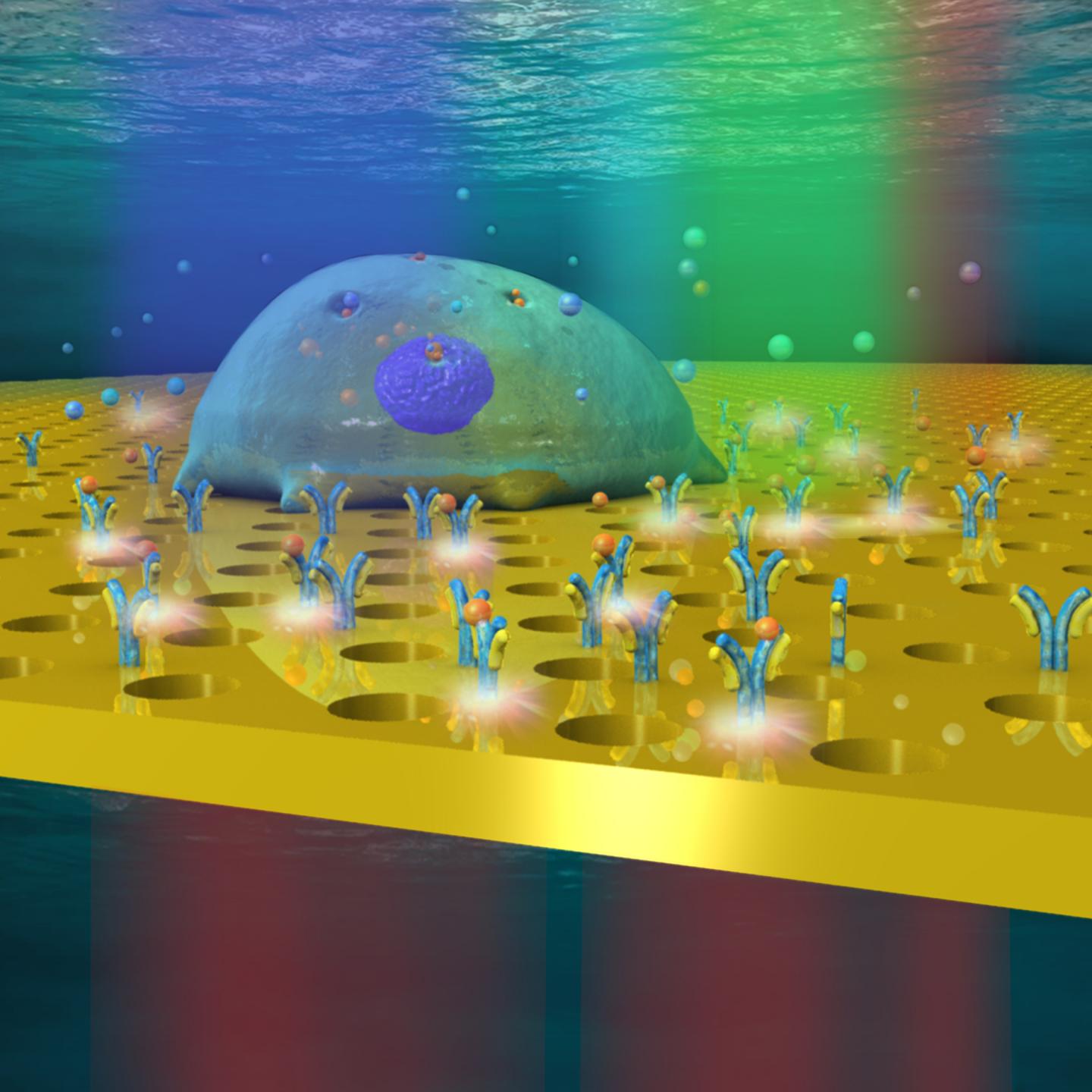 Deciphering the Language of Cells Using Observation Chambers