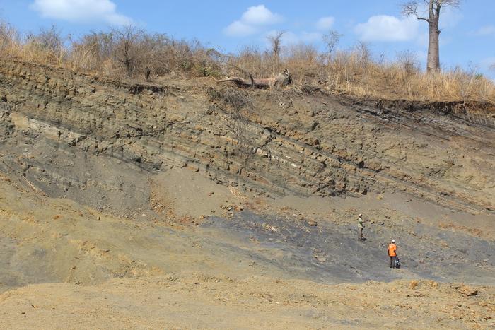 (G1): Panoramic view of the Michunwa outcrop, Maniamba Basin, Mozambique