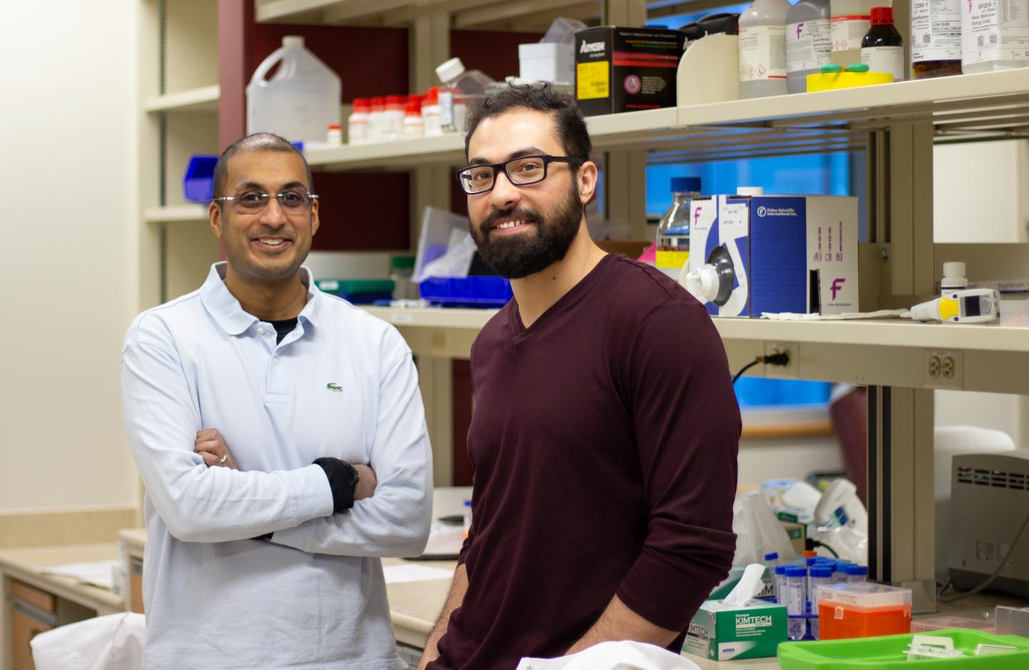 Discovery May Bolster Chemotherapy Potency while Protecting the Heart from Side-Effects