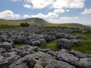 Limestone pavement in the Yorkshire Dales