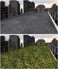 Green Roofs Study