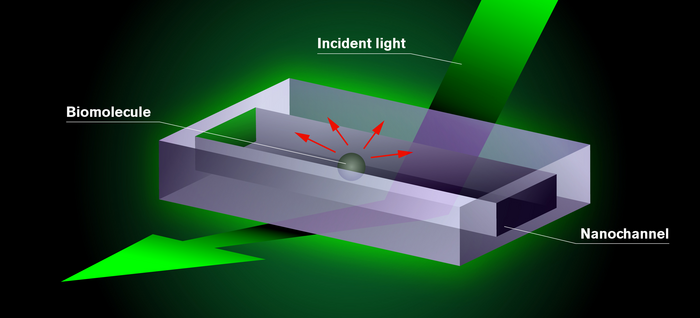 Nanochannels light the way towards new medicine