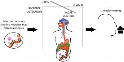 Gut Bacteria -- Puppet Masters?
