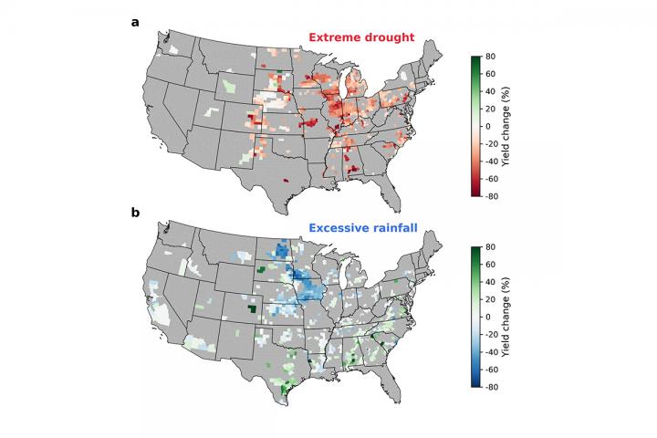 Corn Yield Figure