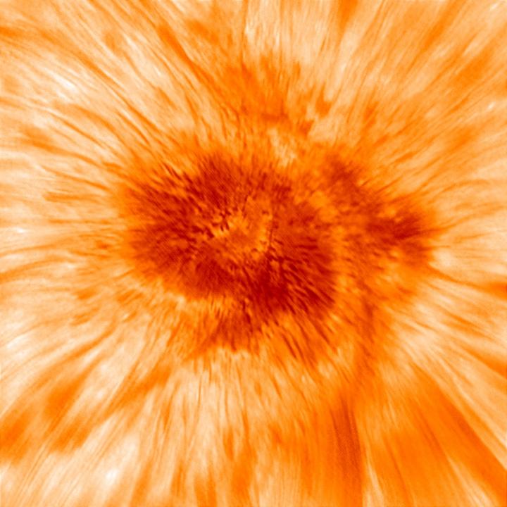 NJIT's New Solar Telescope Unveils the Complex Dynamics of Sunspots' Dark Cores