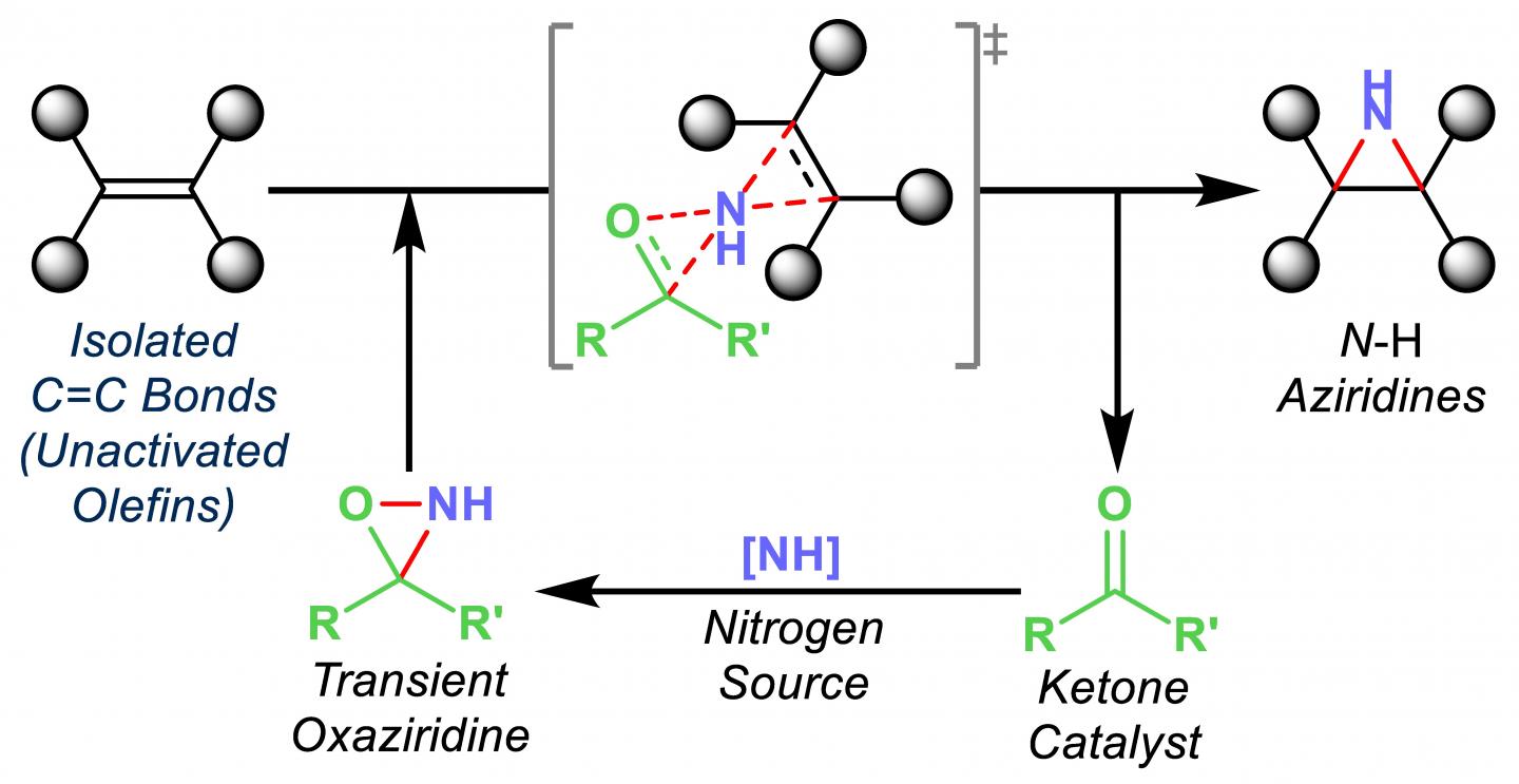 NITROGEN 1