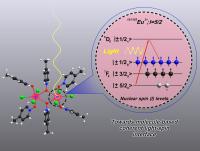 The Europium complex acting as qubit, in which the nuclear spin density is manipulated by light.
