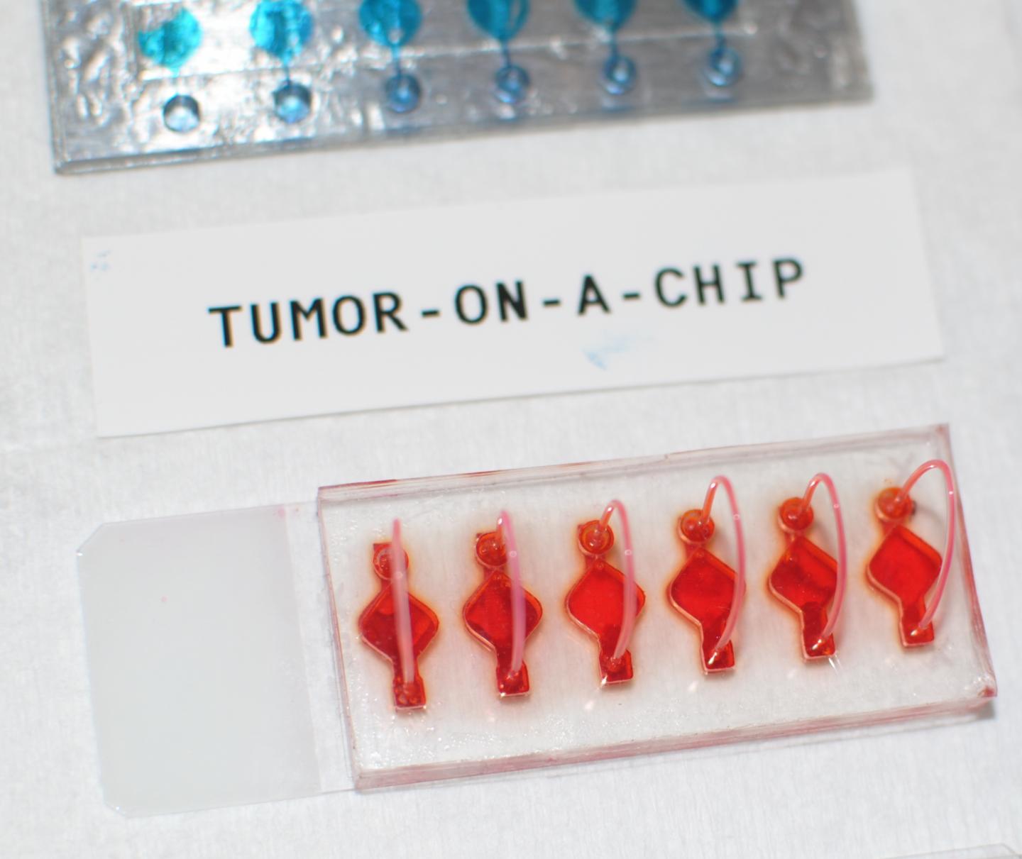 Tumor-on-a-chip