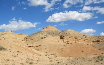 Gobi Desert Oviraptor Fossil Site