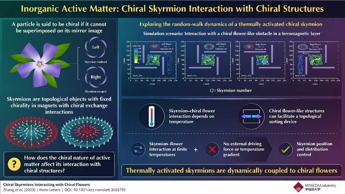 The interaction of chiral skyrmions with chiral flowers