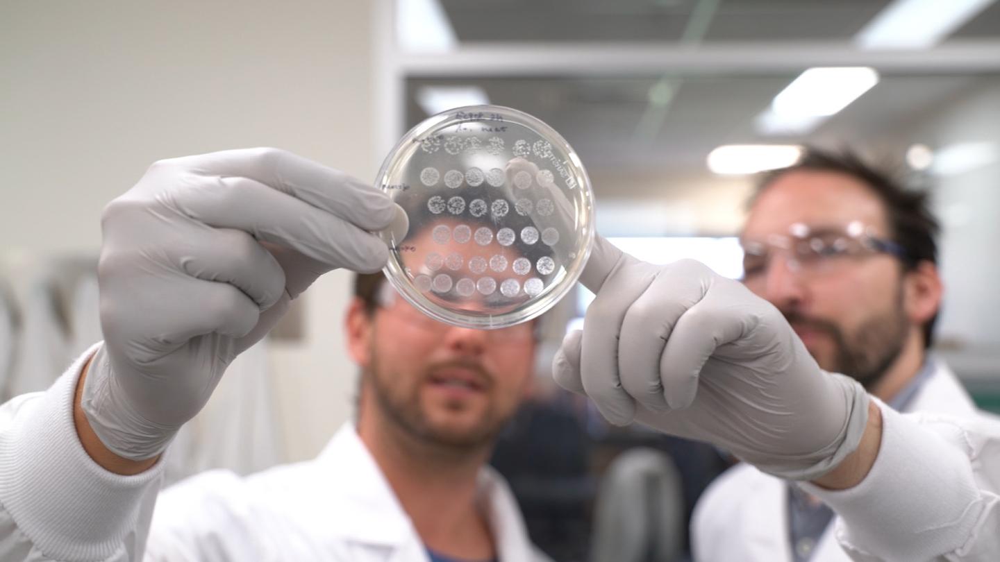 Researchers at UQ's Institute for Molecular Bioscience