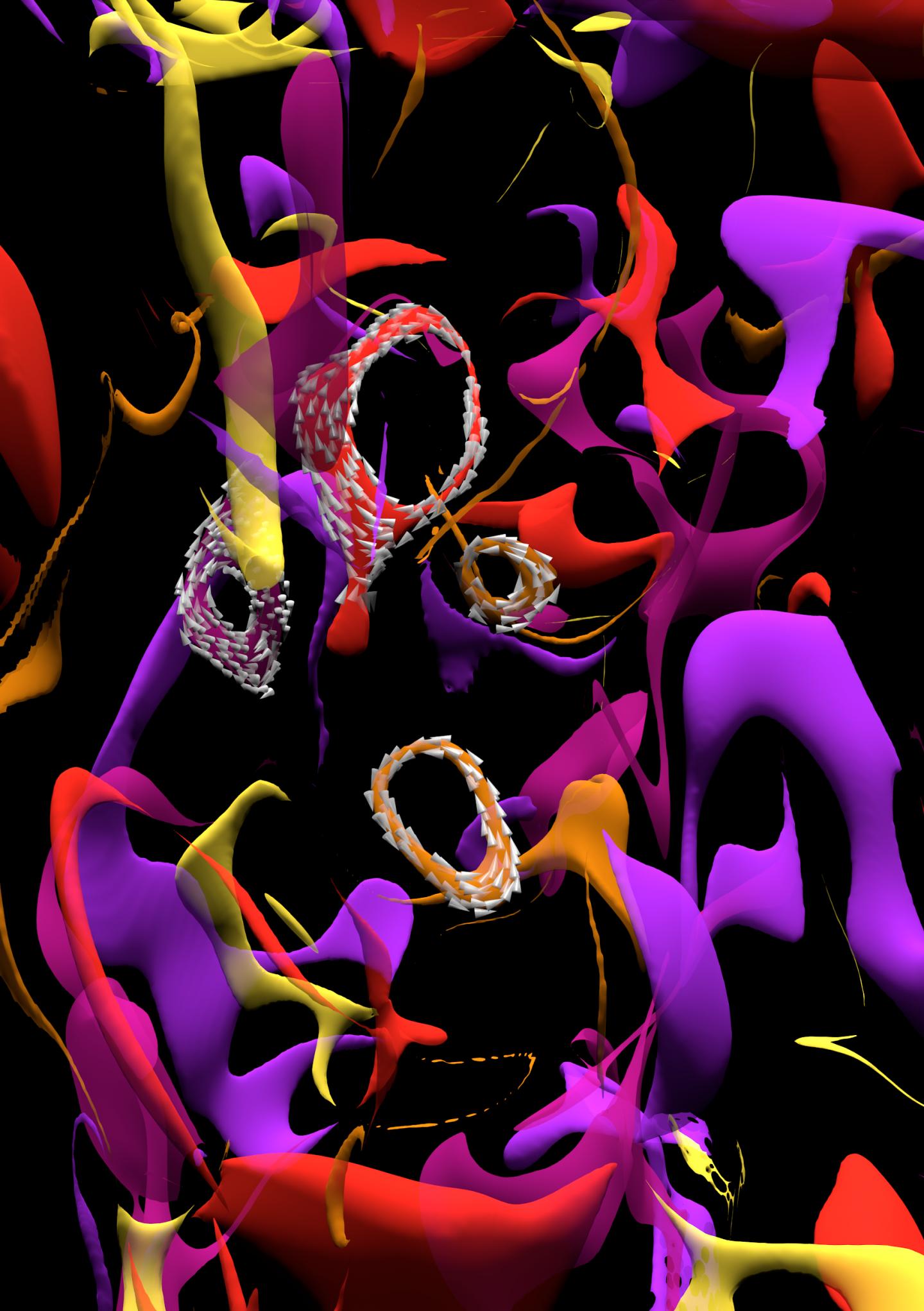 Magnetic beauty within