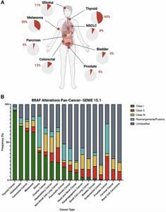 Targeting the multifaceted BRAF in cancer: New directions