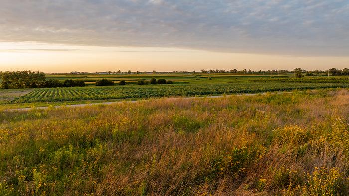 Crops in Missouri