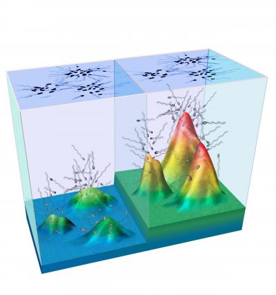 Fold-change Detection