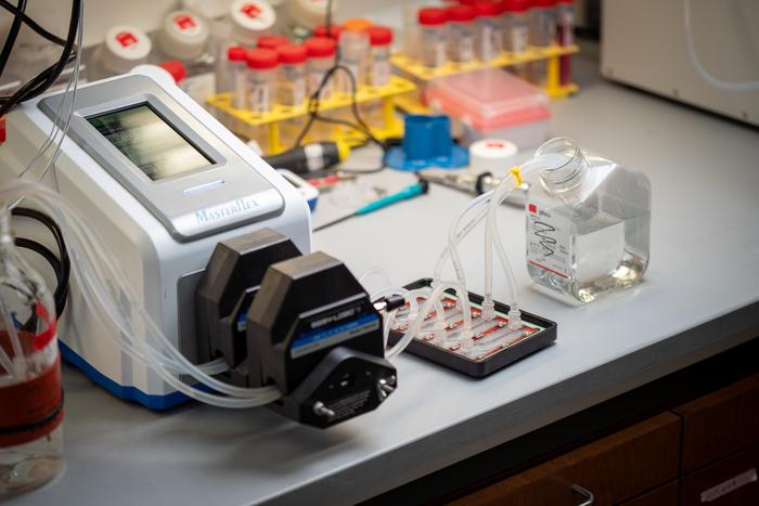 Microfluidic device sorts tumor cells - 3