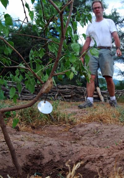 David Haak, 	University of Washington 
