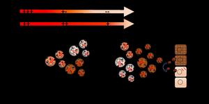 A SCHEMATIC DIAGRAM DEPICTING THE PERSISTENCE AND RECURRENCE OF SARS-COV-2 RESIDING WITHIN EXTRACELLULAR VESICLES