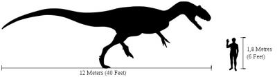 Human-<em>Allosaurus</em> Size Comparison