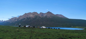 Qinghai-Tibetan Plateau, yak herders summer camp