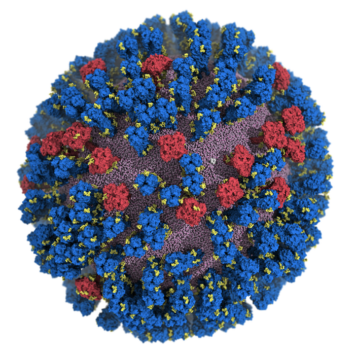 atomic resolution image of H1N1 influenza virus