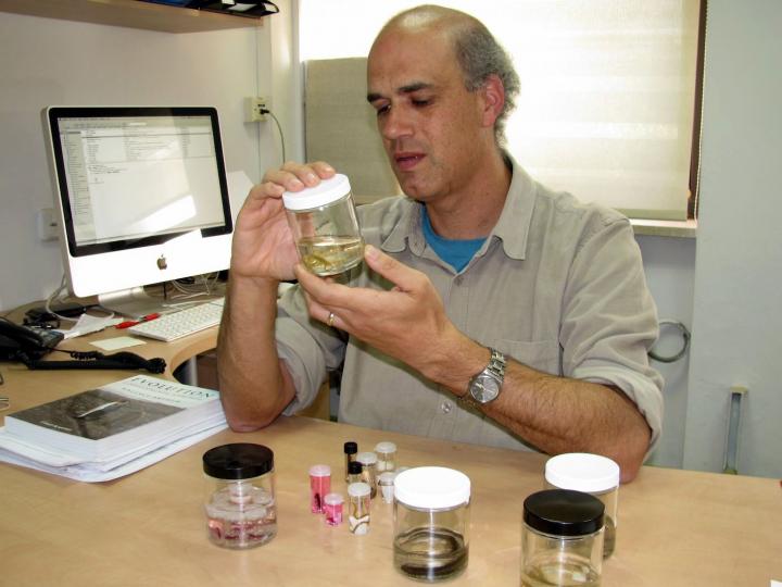 Ariel Chipman, Hebrew University of Jerusalem