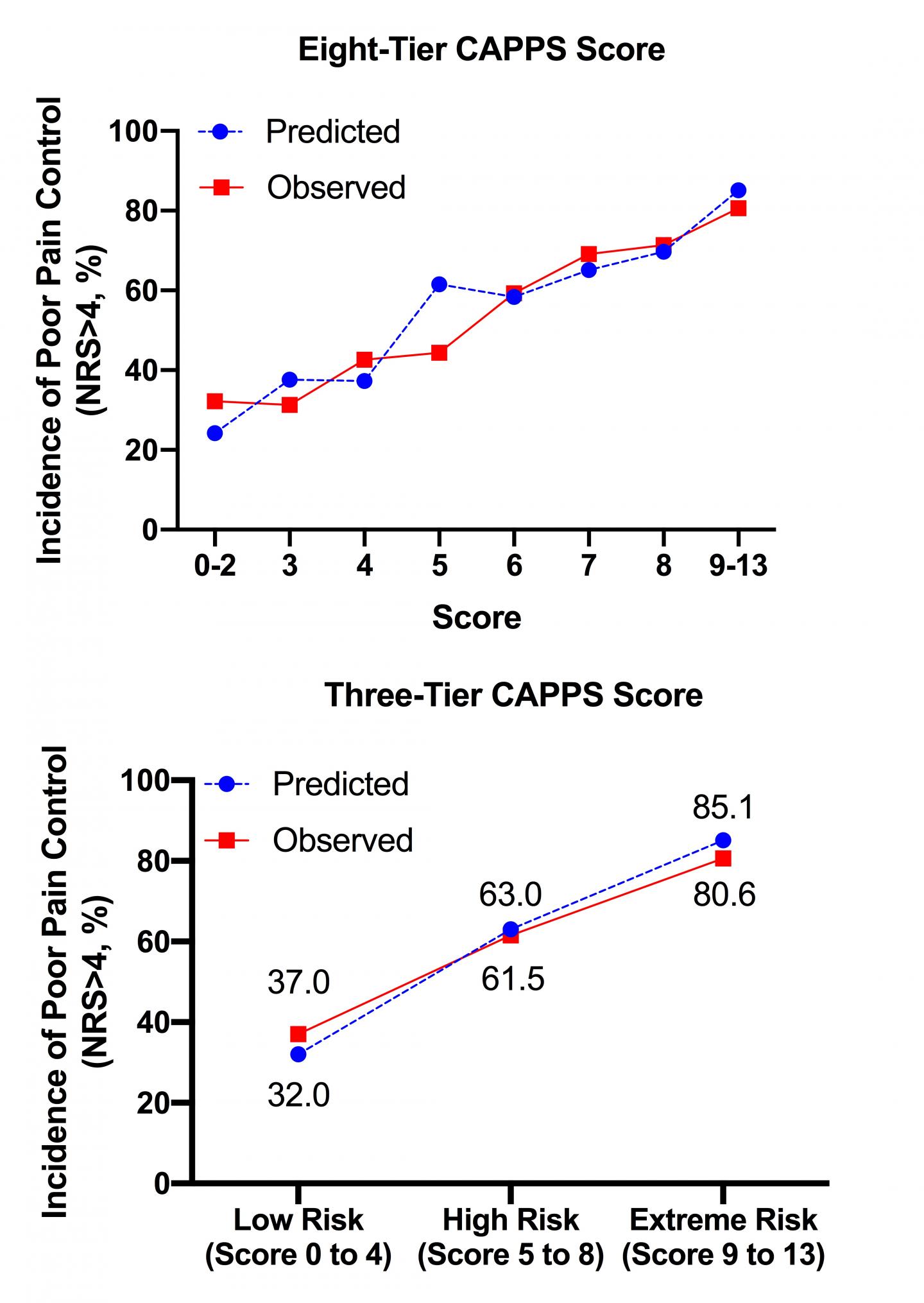 Calgary Postoperative Pain After Spine Surgery (CAPPS) score.