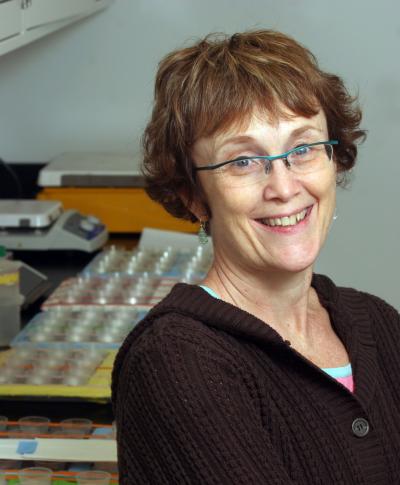 Leslie J. Stein, Monell Center