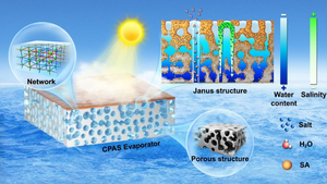 SCHEMATIC DIAGRAM OF THE DESALINATION AND SALT RESISTANCE MECHANISM OF THIS JANUS SPONGE-LIKE HYDROGEL SOLAR EVAPORATOR