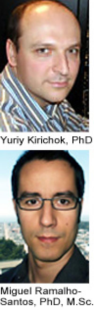 Yuriy Kirichok, Ph.D., and Miguel Ramalho-Santos, Ph.D.
