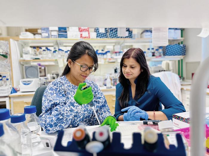 Researchers in lab