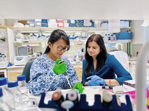 Researchers in lab