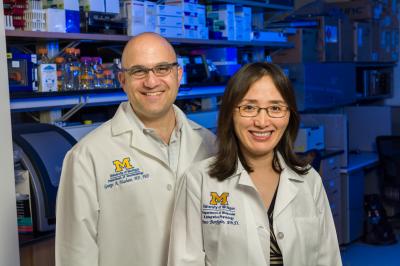 Electrical Signatures of the Dying Brain