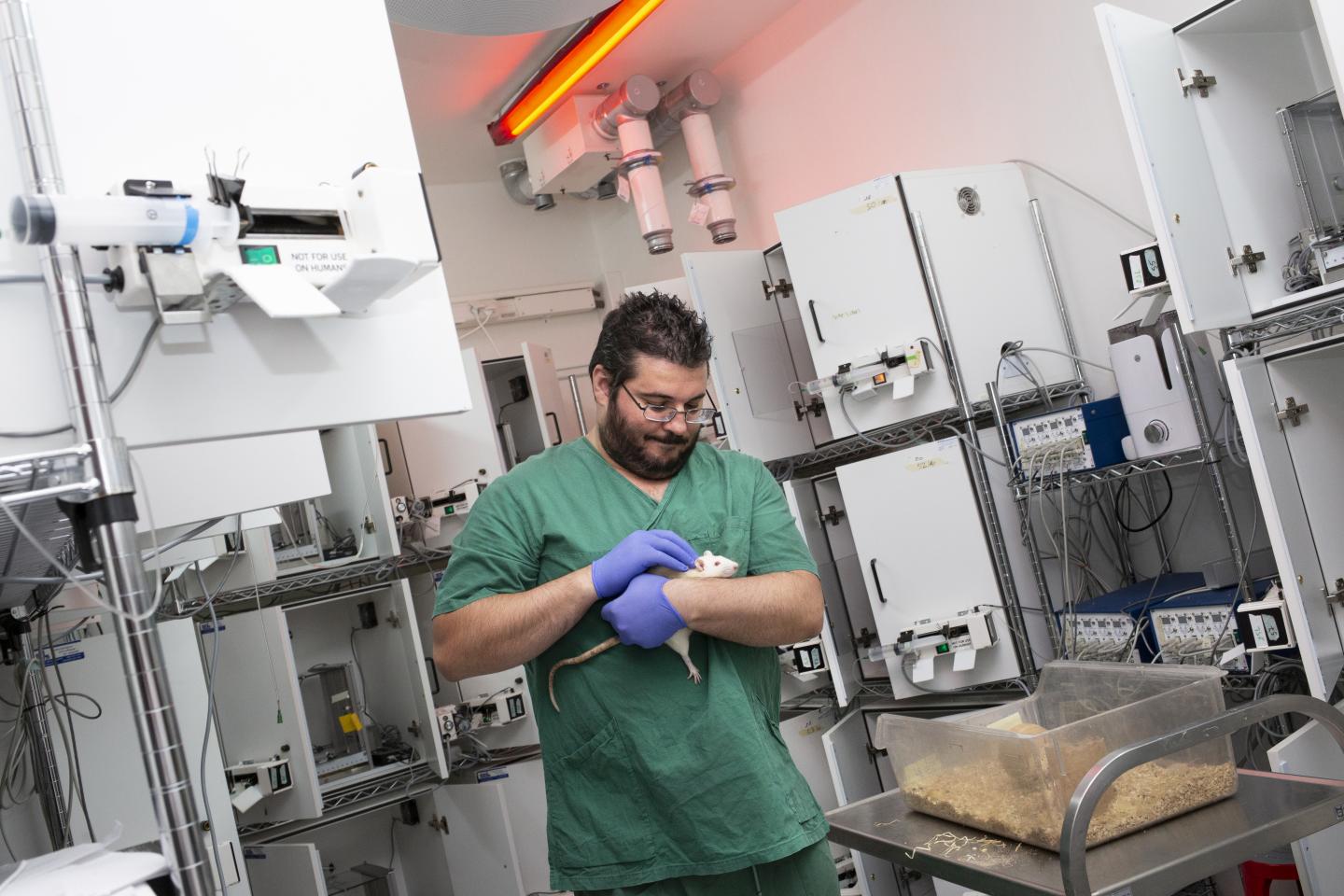 Eric Augier, Linköping University