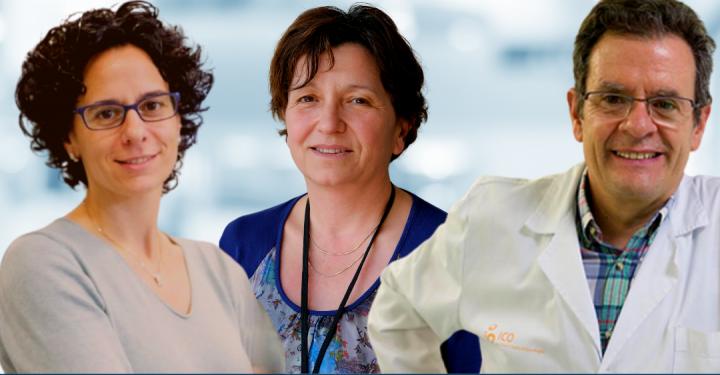 The three principal investigators in the consortium